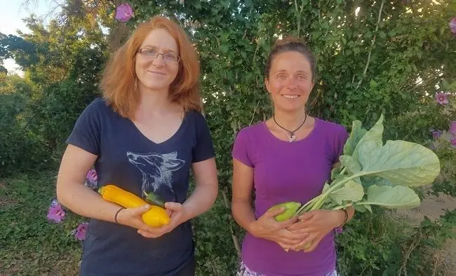 Berit Ulbrich (links) und Susan Griesbach hatten die Idee, eine Solawi in Brandenburg (Havel) zu gründen. Inzwischen bauen sie mit einem zehnköpfigen Team Kooperationen mit Landwirten und einen Verein auf.