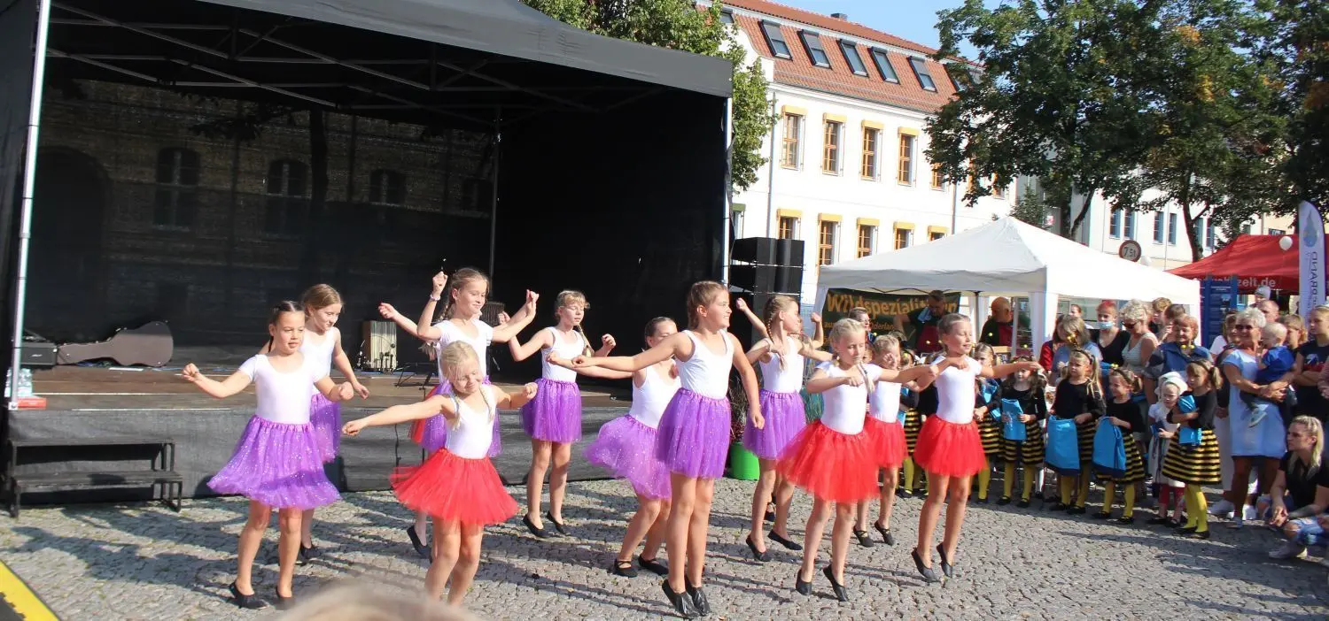 Kulturfesttage in Seelow: Die Volks- und Sowtanzgruppe begeiterte die Gäste am Samstag.