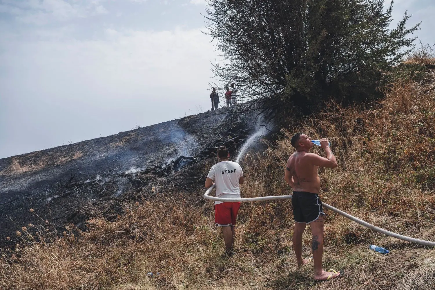 Wie ein Tropfen auf den heißen Stein: Anwohner versuchen, einen Flächenbrand nahe Catanzaro in Kalabrien zu löschen. In der Region in Süditalien war die Lage besonders kritisch.