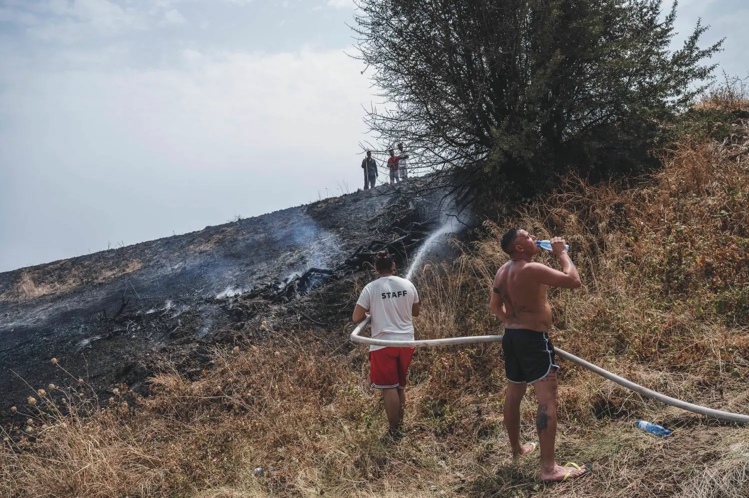 Feuer in Italien Brandstiftung in Kalabrien Die Mafia wittert