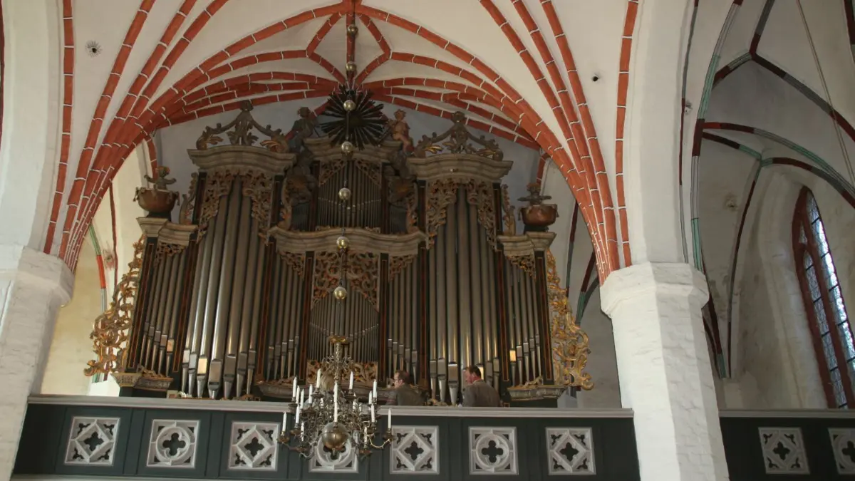 Die barocke Wagnerorgel in der Marienkirche Angermünde ist eine historische Kostbarkeit. Sie ist eine der wenigen original erhaltenen Barock-Orgeln in Deutschland. Hoch oben auf dem Prospekt thronen wieder die Engel.
Die barocke Wagnerorgel in der Marienkirche ist eine historische Kostbarkeit. Doch sie muss dringend restauriert werden. Orgelbauern und Gemeindemitglieder begutachten das Instrument.