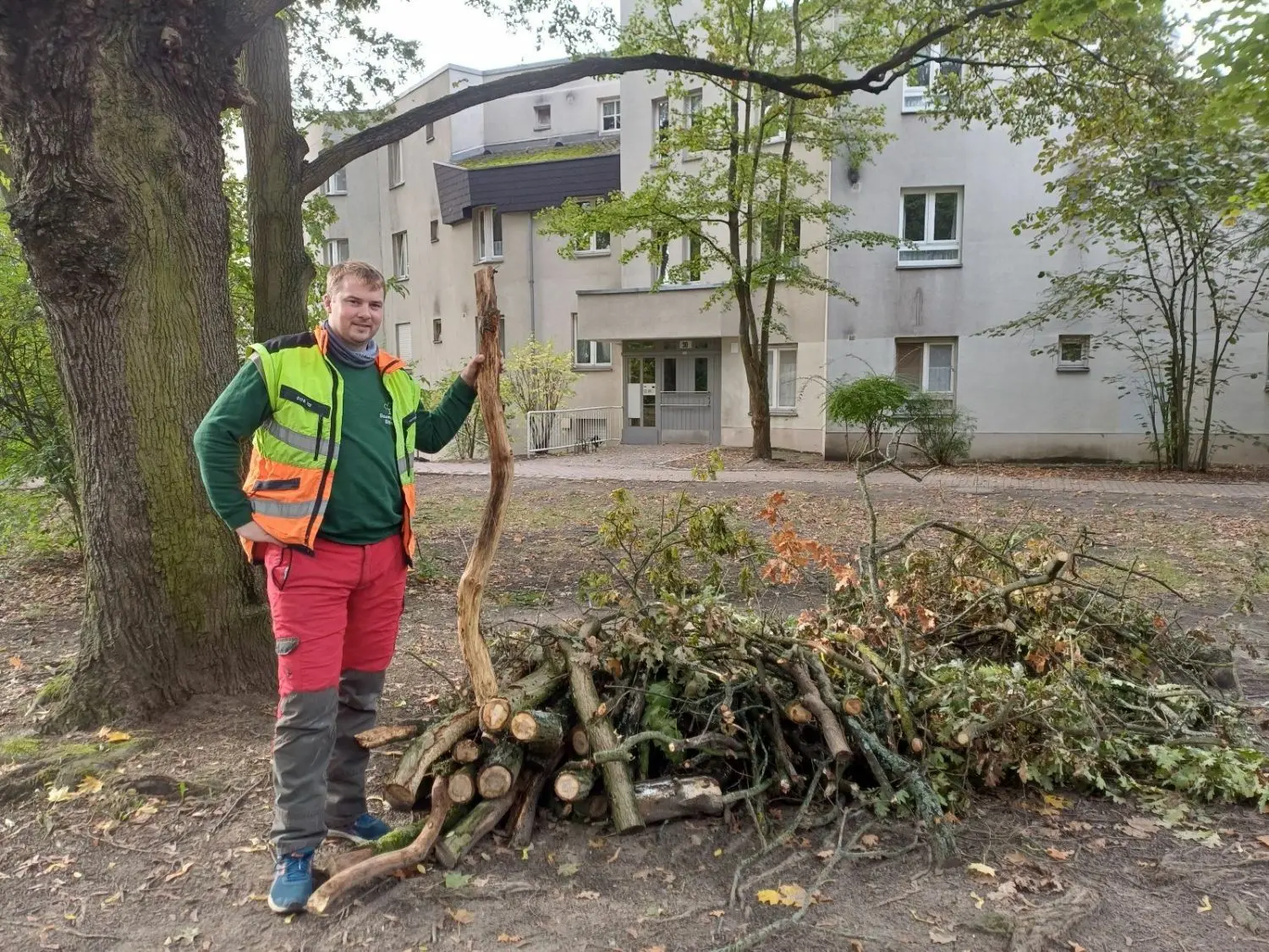 Baumpfleger Timo Bittner vor einem Haufen mit Zweigen und Ästen, die seine Mitarbeiter in Berlin-Lichterfelde in einer Parkanlage geschnitten haben.