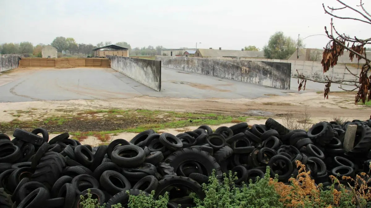 Sophienthaler Agrar-Industrie-Brache: Gegenüber den Kuhställen sieht Alexander Rabe vom Landwirtschaftsbetrieb AGO Zechin viel Platz für einen Solarpark.
Sophienthal