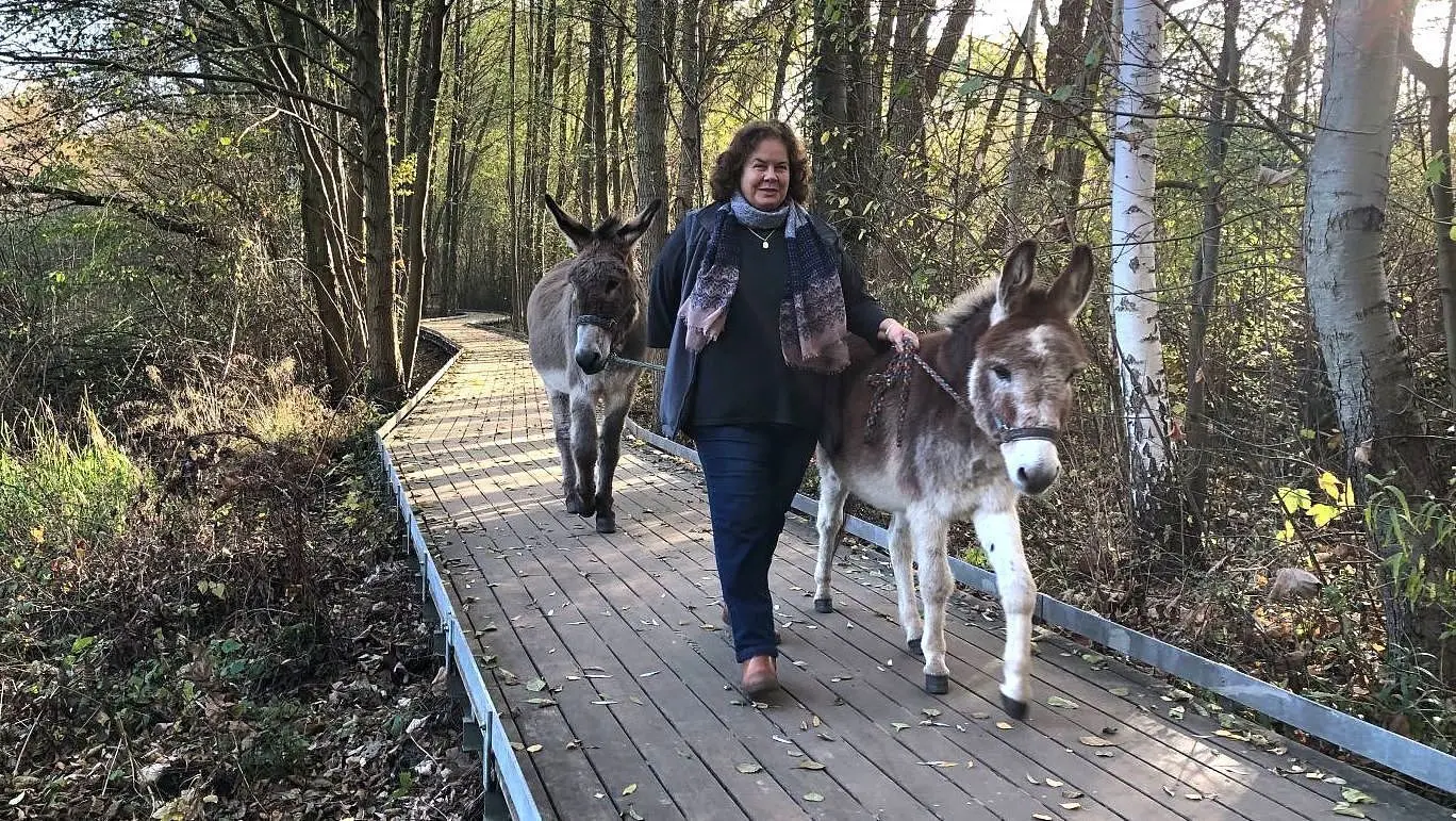Eichwerder Moorwiesen: Sieben Esel unterstützen die Stiftung Naturschutzfonds Brandenburg bei der Landschaftspflege.