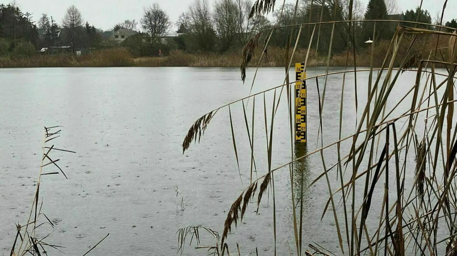 30+ Junge Nach Teich-Drama In Neugraben Gestorben, Tragischer unfall