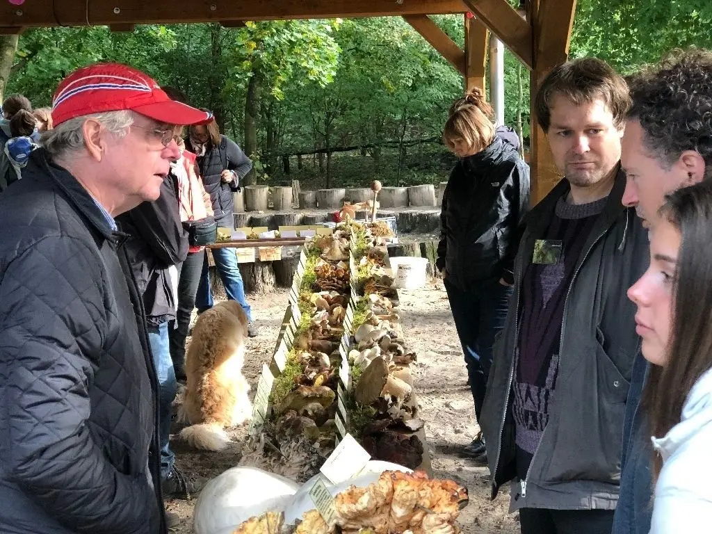 Mehr als hundert Pilze haben die Experten am Wochenende in der Waldschule Briesetal und auf dem Regionalmarkt in Oranienburg präsentiert. Fast ebenso viele Fragen mussten sie beantworten.