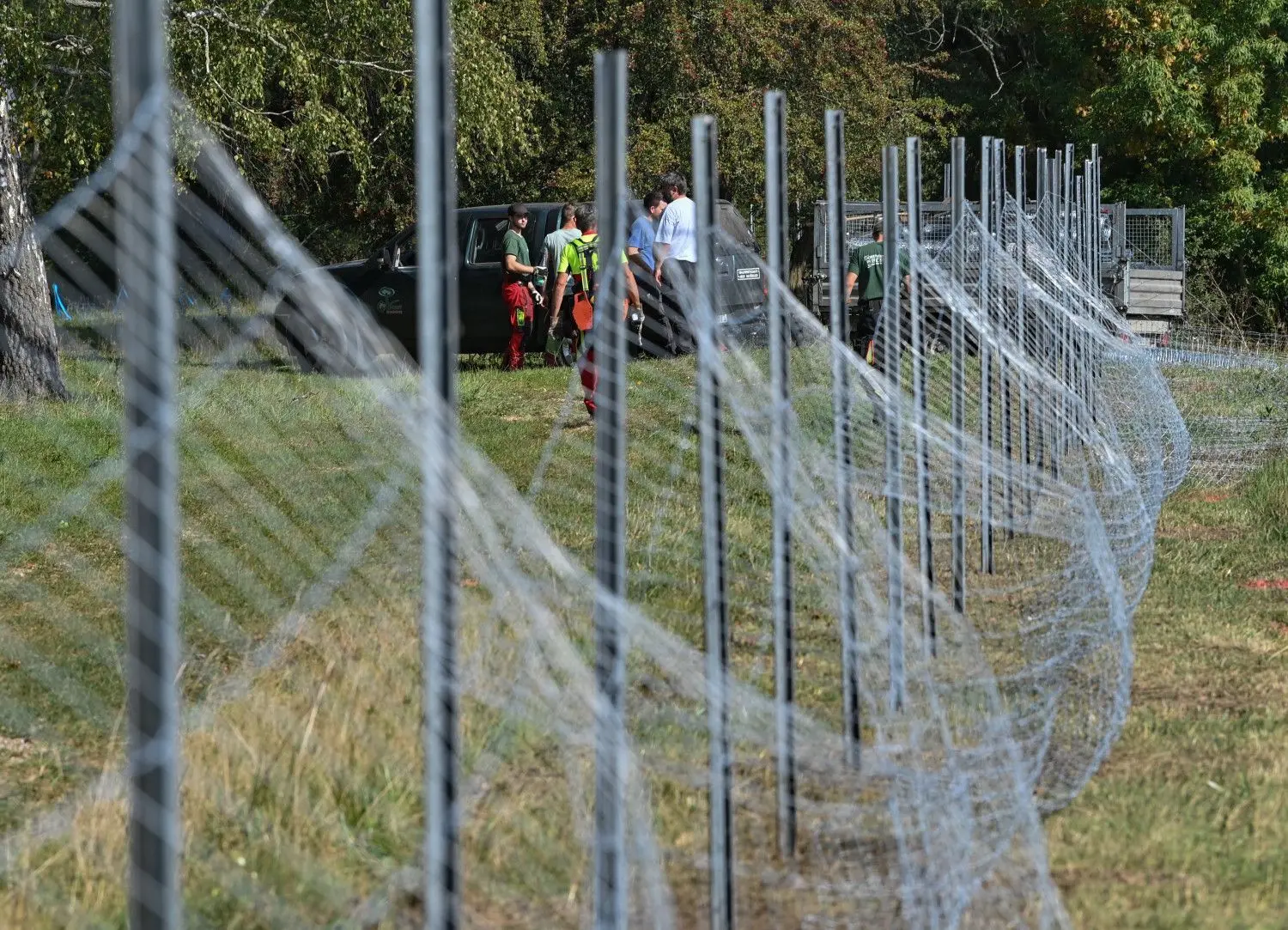 An der Neiße: Mitarbeiter des Landesbetriebes Forst Brandenburg errichten einen festen Zaun gegen die Afrikanische Schweinepest.