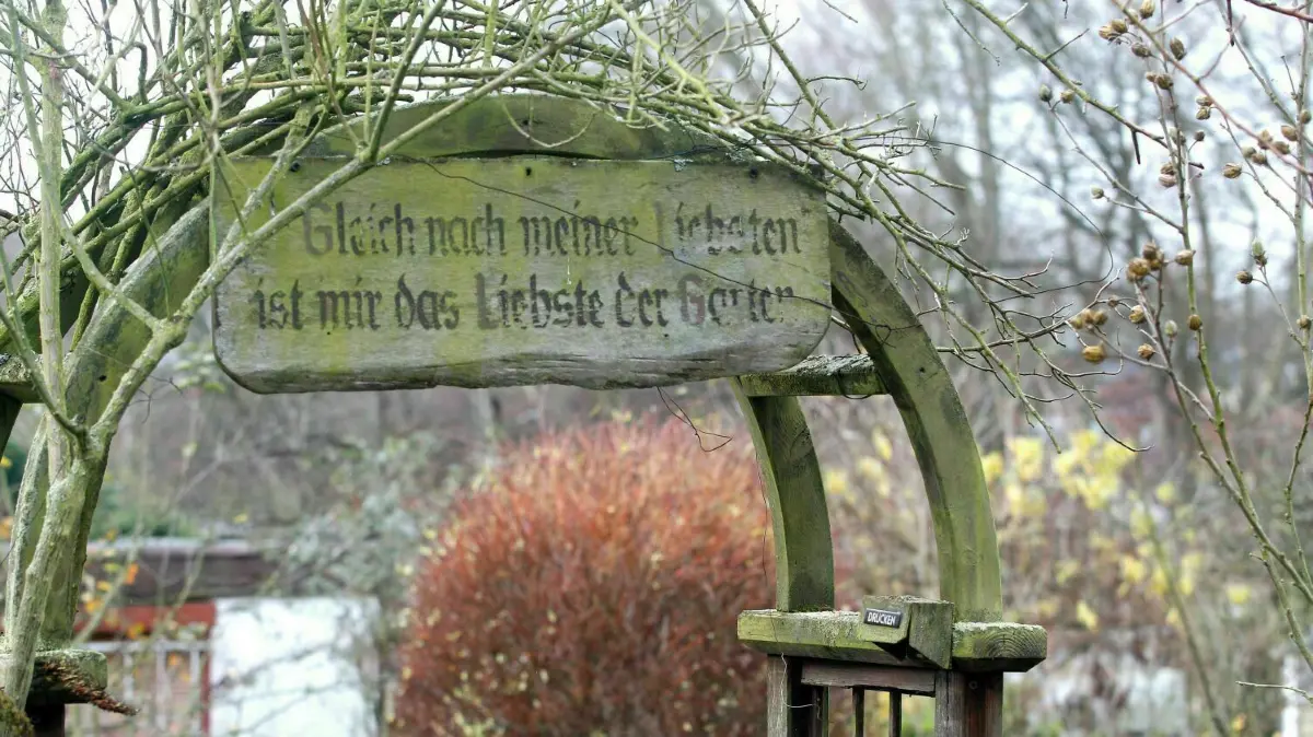 „Gleich nach meiner Liebsten ist mir das Liebste der Garten“ steht über dem Eingang einer Gartenlaube einer Kleingartenanlage. Bei der Übernahme von einem Kleingarten muss teilweise eine Abstandszahlung geleistet werden. (Symbolbild)
"Gleich nach meiner Liebsten ist mir das Liebste der Garten" steht über dem Eingang einer Gartenlaube in der Kleingartenanlage "Am Schellenberg". Der Kleingartenverein "Am Schellenberg" ist einer von zwei Gewinnern beim Landeswettbewerb Kleingarten. +++ dpa-Bildfunk +++