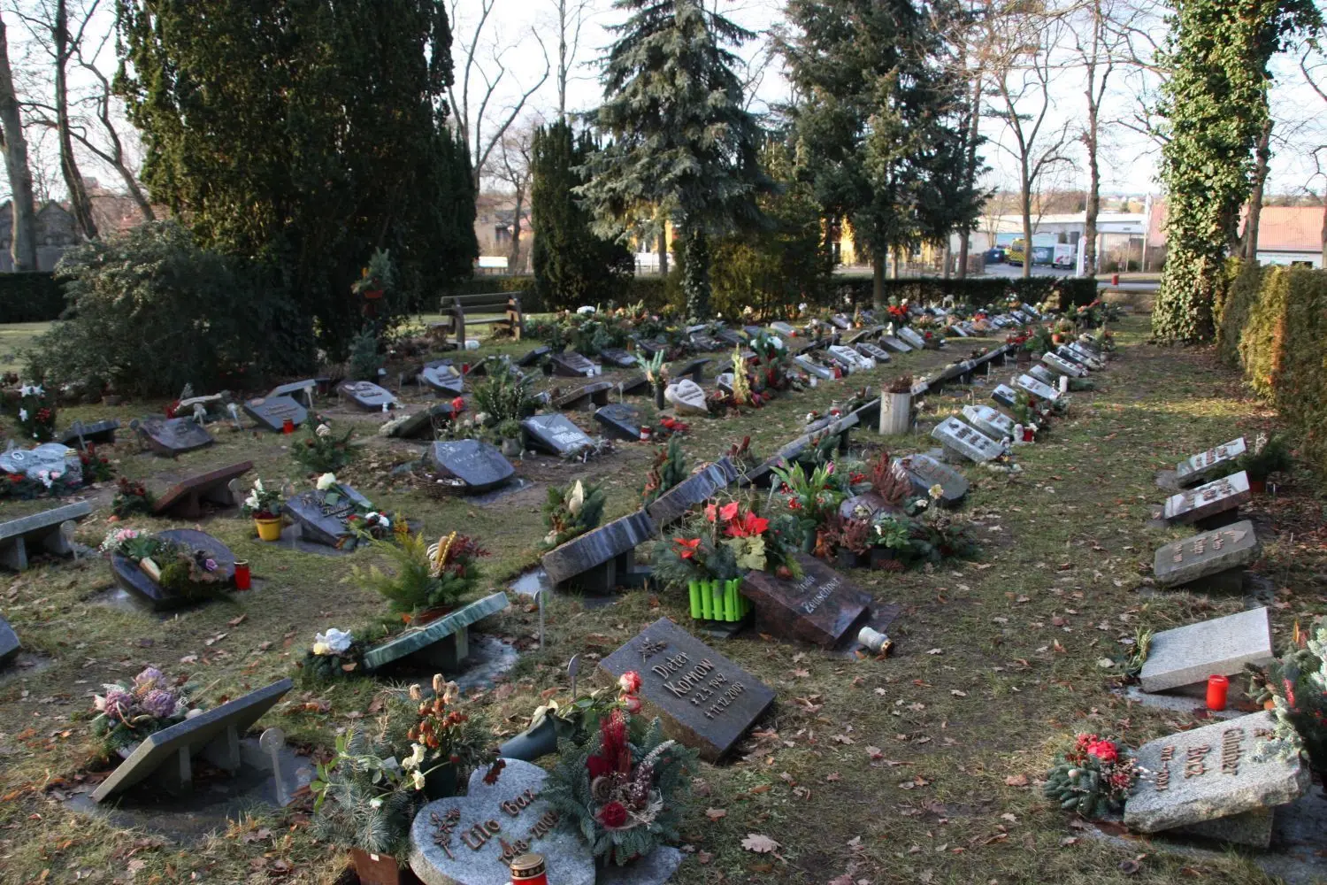 Neue Bestattungsformen: Auf dem Friedhof in Angermünde und in einigen Ortsteilen sind Urnengemeinschaftsgräber angelegt worden.