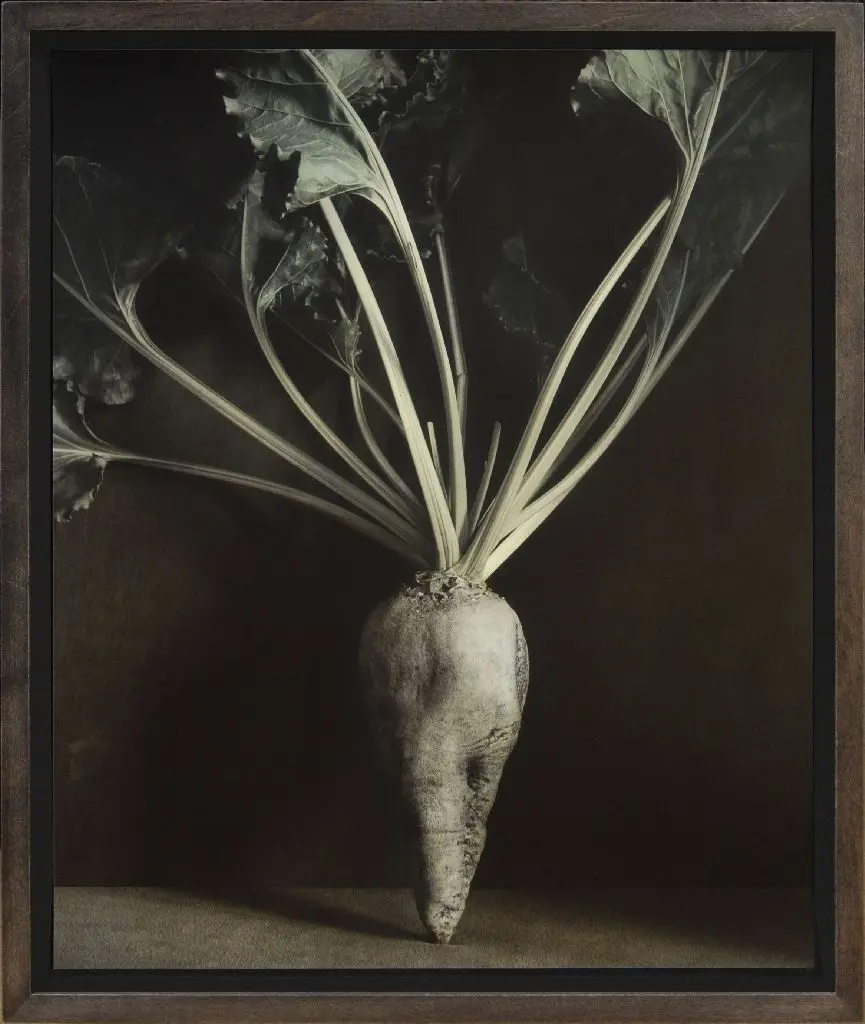 Ingar Krauss: Teil aus "Naturen", 2019