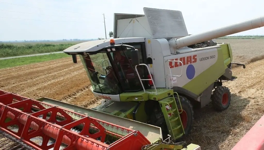 Impression aus früheren Jahren: Zwei Mähdrescher der Bauerngesellschaft ernten Winterweizen bei Kunitz-Loose. Bis zum Abtransport finden bis zu acht Tonnen Getreide Platz im Bauch des Mähdreschers.