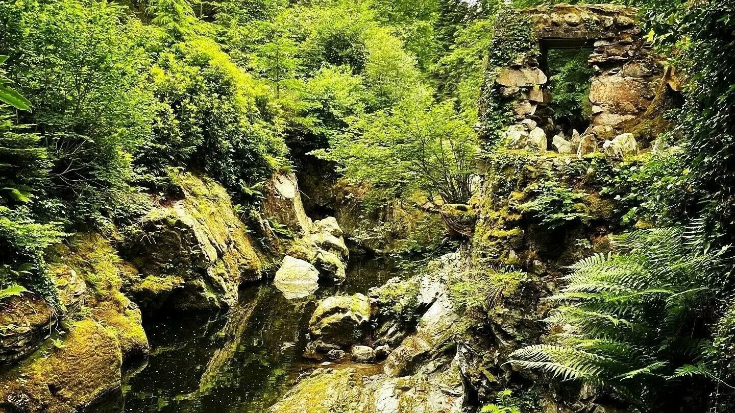 Echt und verwunschen. Der Tollymore Forrest ist die perfekte Kulisse für Fantasy-Geschichten.