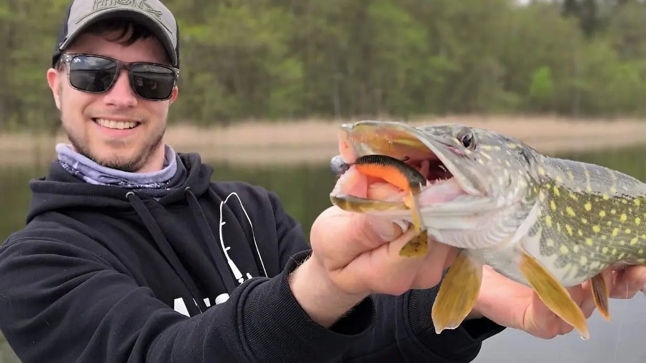Martin Noack ist oft in Schweden unterwegs: Doch auch in Oberhavel beißen bei Geduld und Technik die großen Fischen.