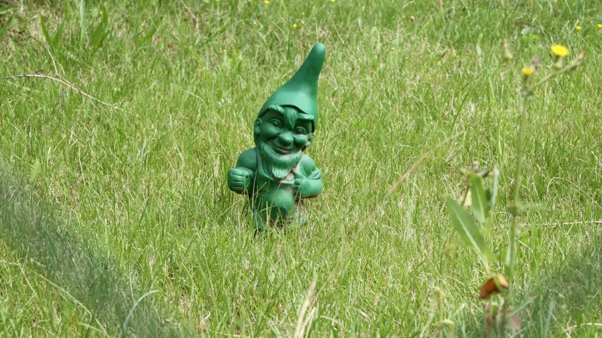 Probleme bei der Integration oder doch nur Rassismus-Keule? Der jüngste Streit in einem Cottbuser Kleingartenverein wird unterschiedlich bewertet.
02.08.2021, Thüringen, Altenburg: Ein grüner Gartenzwerg steht in einem verwilderten ehemaligen Kleingarten in der Gartenanlage «Einheit». Während in großen Städten vor allem bei jüngeren Menschen zuletzt ein Schrebergarten-Boom einsetzte, gibt es bundesweit auf lange Sicht immer weniger Kleingärten. (zu dpa: «Immer mehr Leerstand im Kleingartenwesen - Trendumkehr durch Corona?») Foto: Bodo Schackow/dpa-zentralbild/dpa +++ dpa-Bildfunk +++