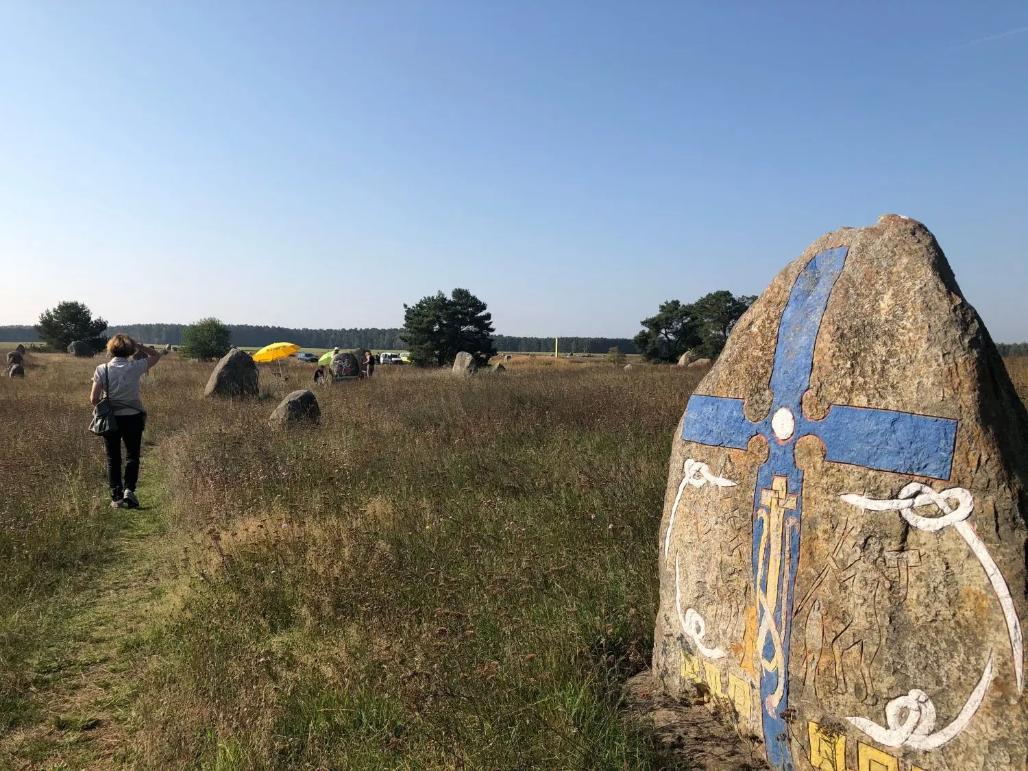 Natur zum Genießen und Lernen: ein Besuch im Findlingspark Henzendorf
