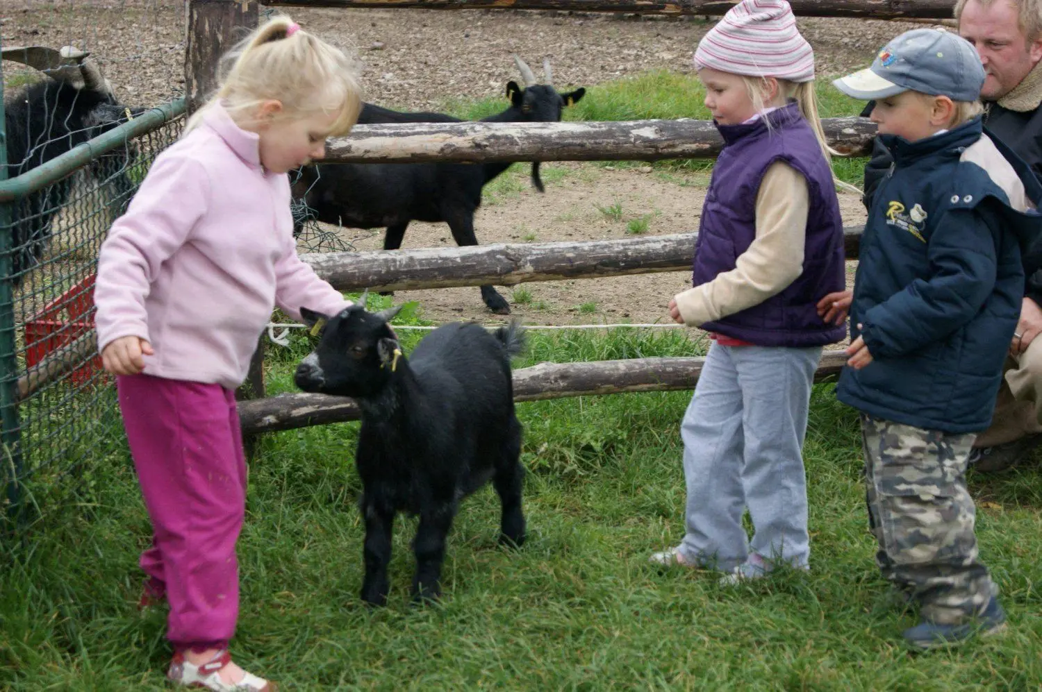 Kinder im Streichelgehege. Das Foto entstand beim Oktoberfest 2011.