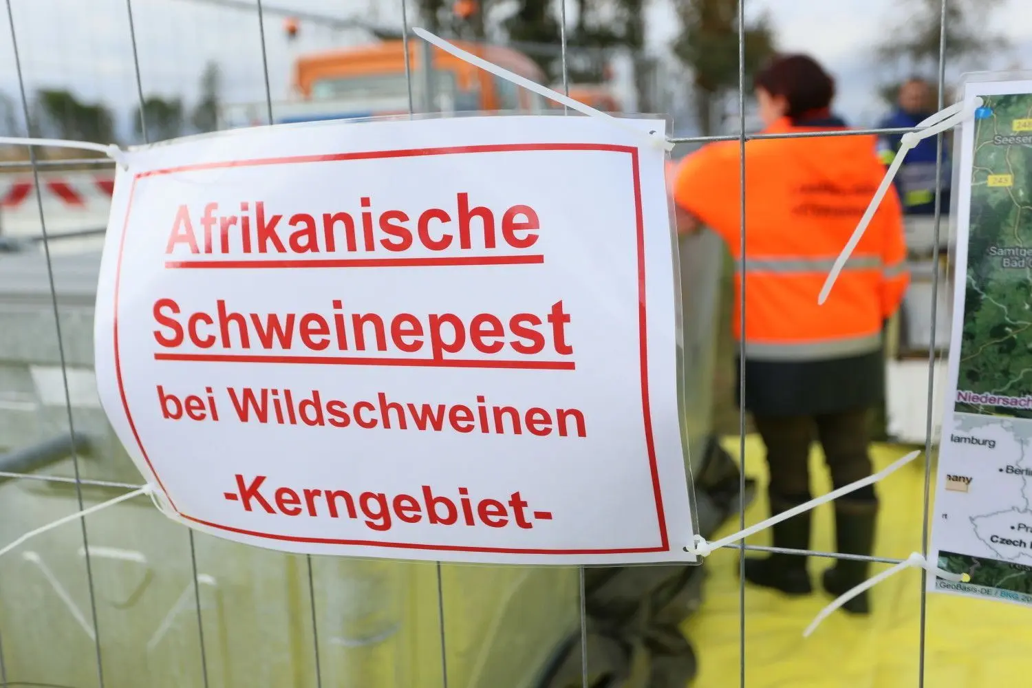 Bei einer Großübung im Landkreis Harz wurde die Zusammenarbeit bei einem möglichen Ausbruch der Afrikanischen Schweinepest mit den zuständigen Ämtern des Landkreises geübt.