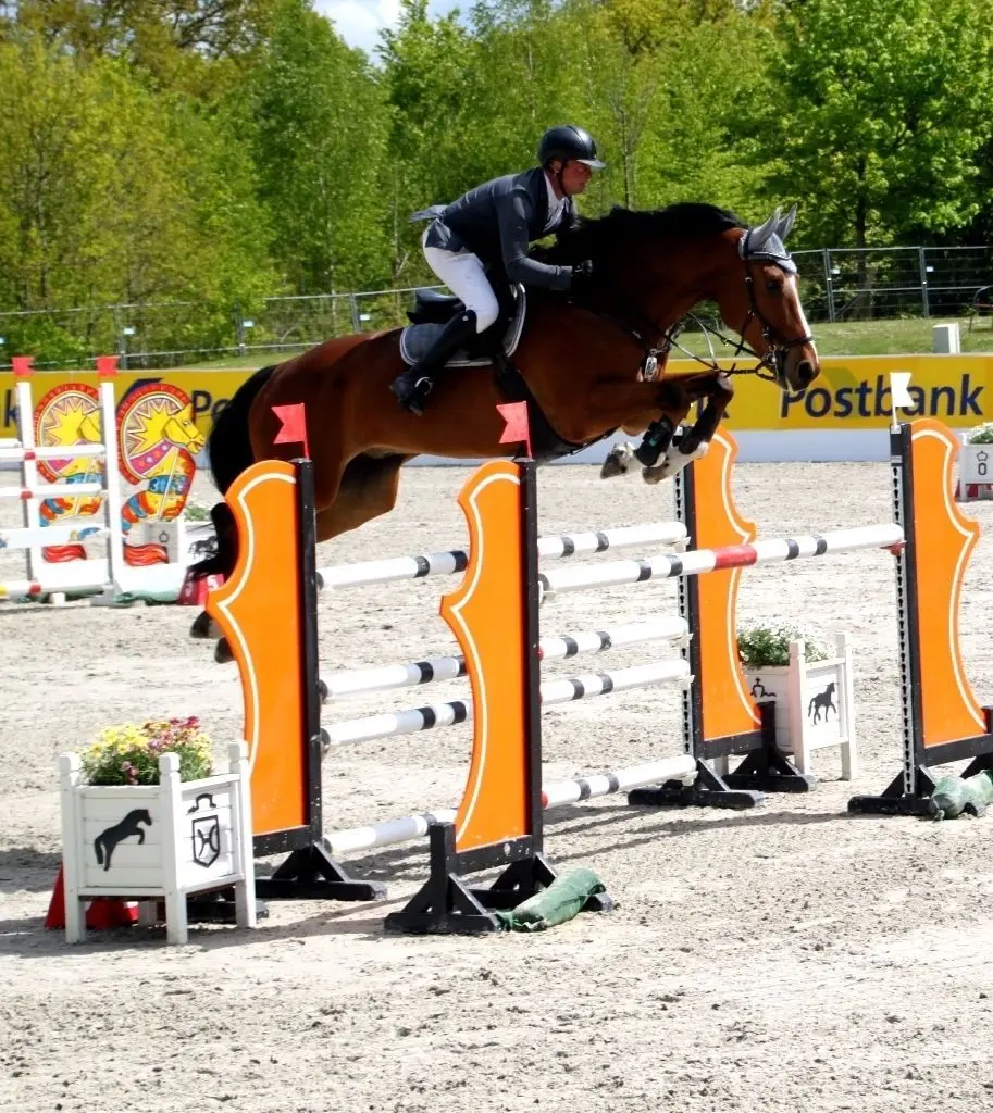 Reiter Rampin Reiten: Ruppiner flott und erfolgreich unterwegs | moz.de