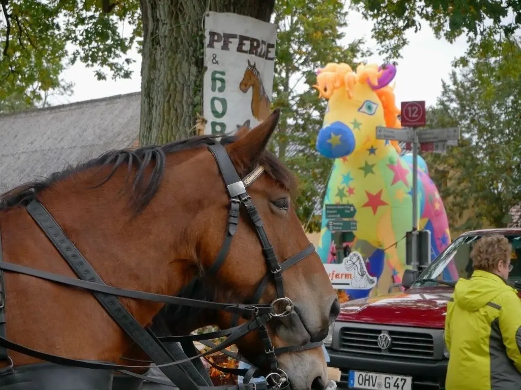 Tradition trifft Kommerz: Während auf dem Dorfanger vor allem die Pferde im Mittelpunkt standen, ging es rundherum bunter zu. Vor allem die Kinder kamen auf ihre Kosten.