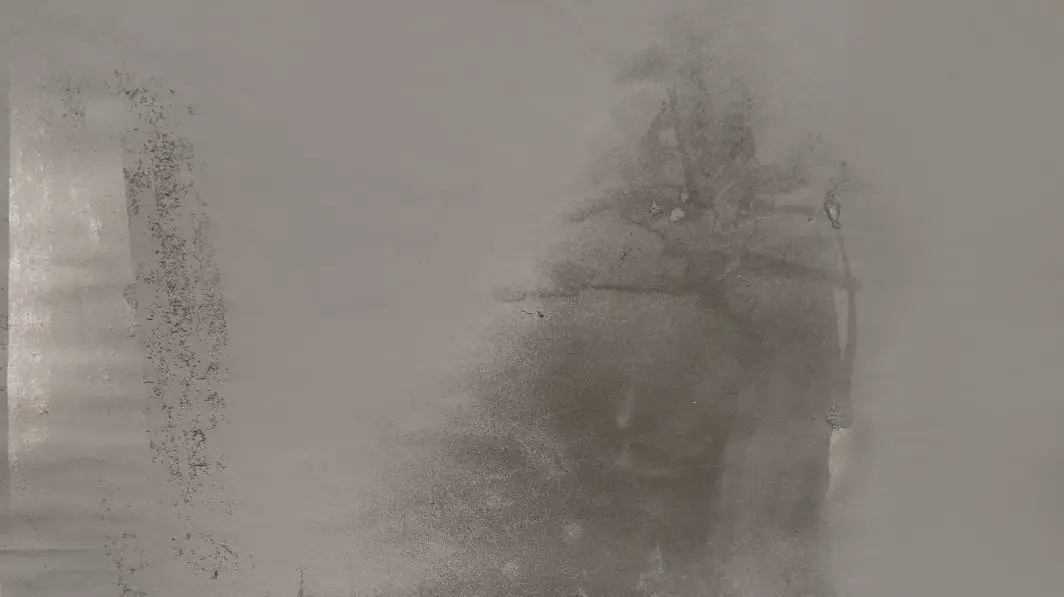 Schemenhaft: Aus der Serie "Hybride Heimat 2"