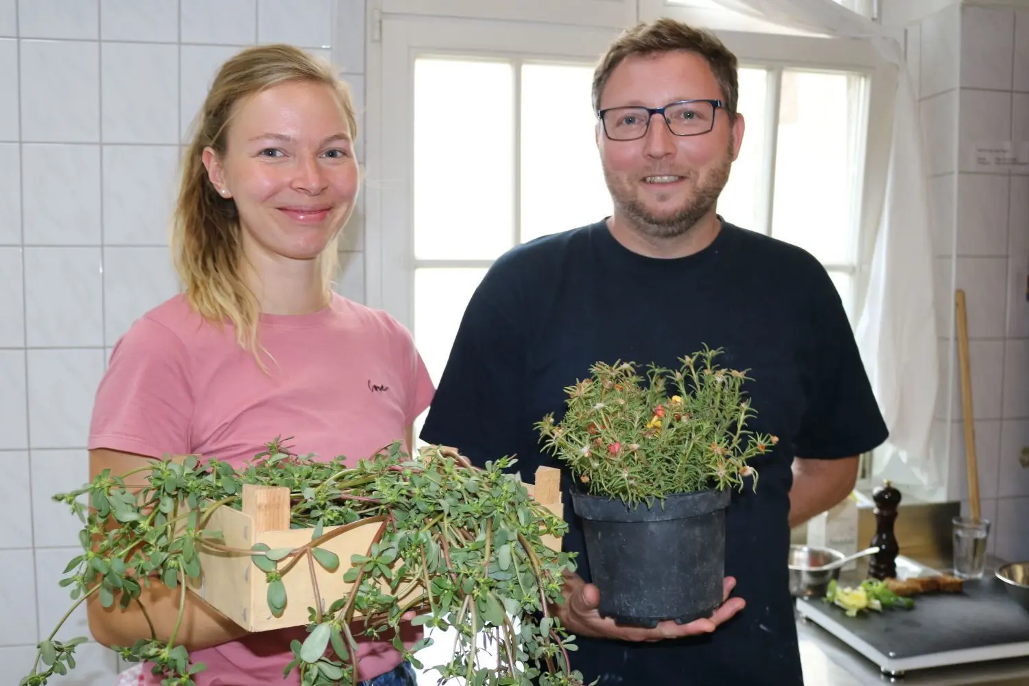 Portulak als Pflanze: Pia Maleck zeigt das essbare Wildkraut und Pascal Verrooten Portulak als Zierpflanze.