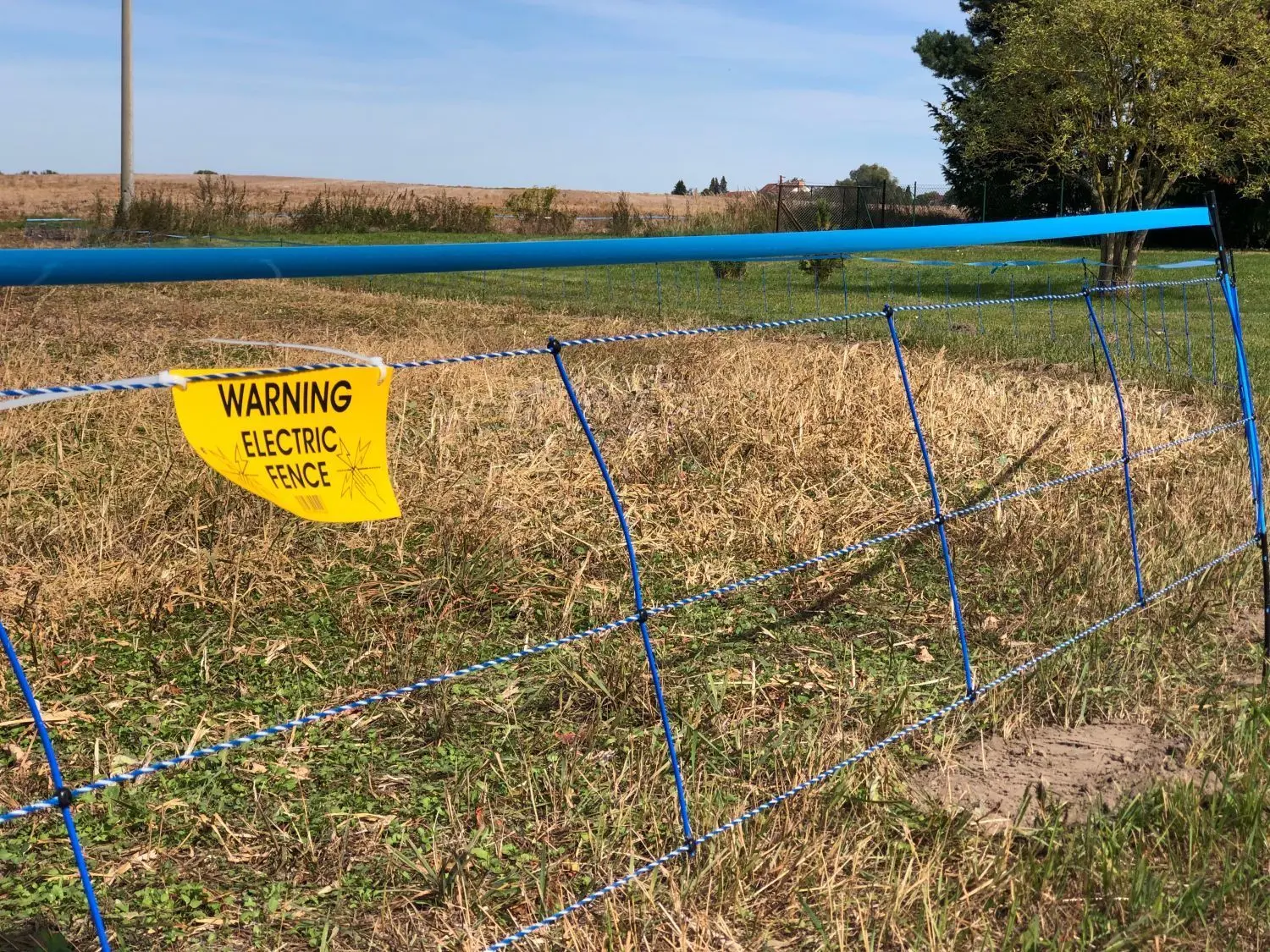 Bahro bei Neuzelle: Auch hier ist der Zaun zur Eingrenzung der Schweinepest zu sehen.