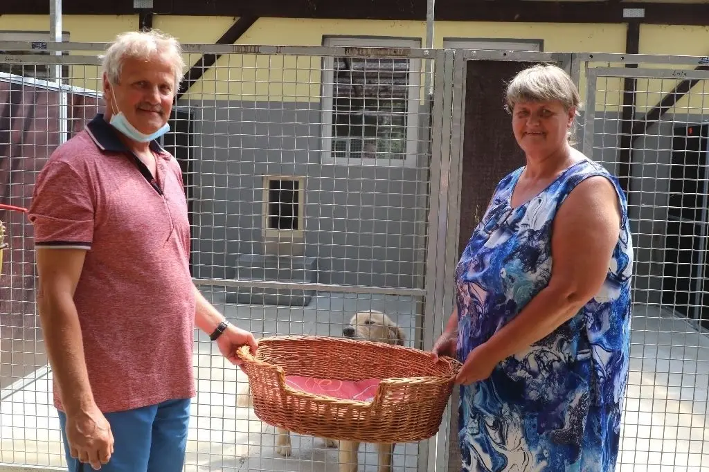 Ein neuer Korb für Lilli: Familie Koch aus Lanke hat nicht nur ihre Hündin, sondern auch Kater Sami aus dem Tierheim geholt.