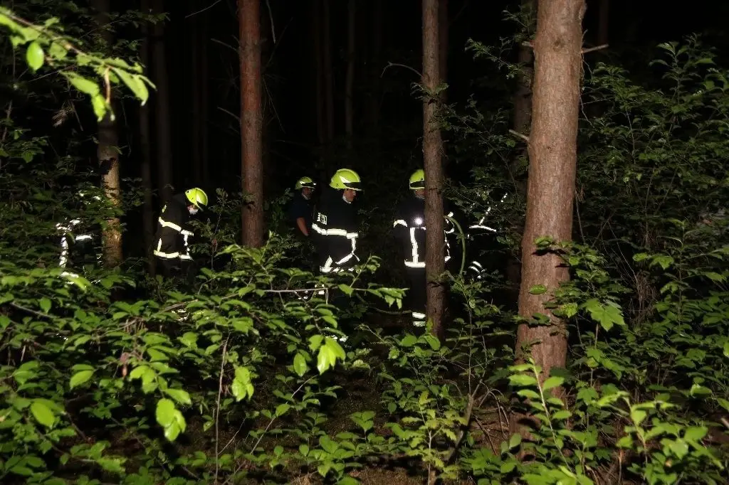 Einsatz im dichten Wald: Am späten Montagabend mussten sich die Feuerwehrleute aus Ladeburg, Lobetal und Bernau erst durchs Unterholz zum Brandherd vorkämpfen.