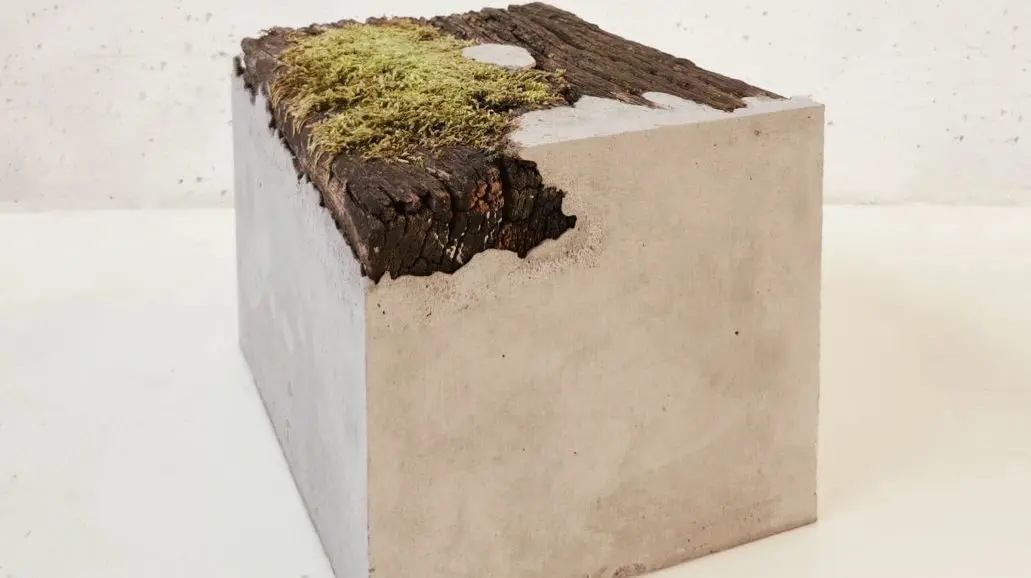 Holz und Moos in Beton: Skulptur aus der Serie "Hybride Heimat"