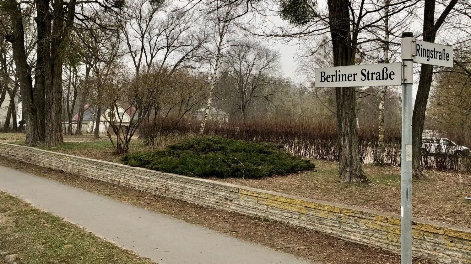 Die Bäume entlang der Straße sollen stehen bleiben, wenn am Stienitzsee neue Wohnhäuser gebaut werden.