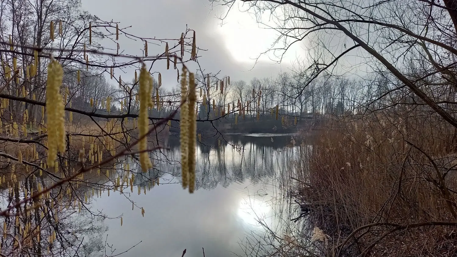 Besonders in winterlichen Morgenstunden hat der Börnersee, einer von drei Tonstichen in Borgsdorf, seine durchaus charmanten Seiten. Bei vollem Tageslicht wirkt er allerdings trotz aufgeräumter Badestelle wenig attraktiv. Das Wasser ist trüb und voller Müll.