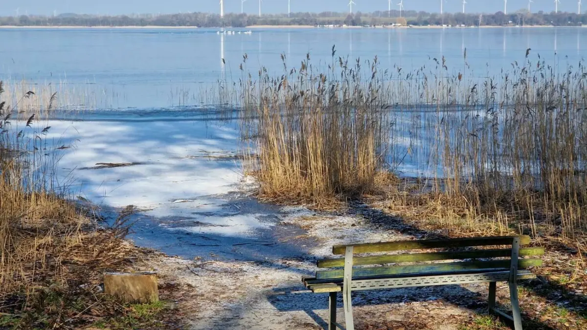 Natur pur: Der Pehlitzwerder ist eine Halbinsel im Parsteiner See.