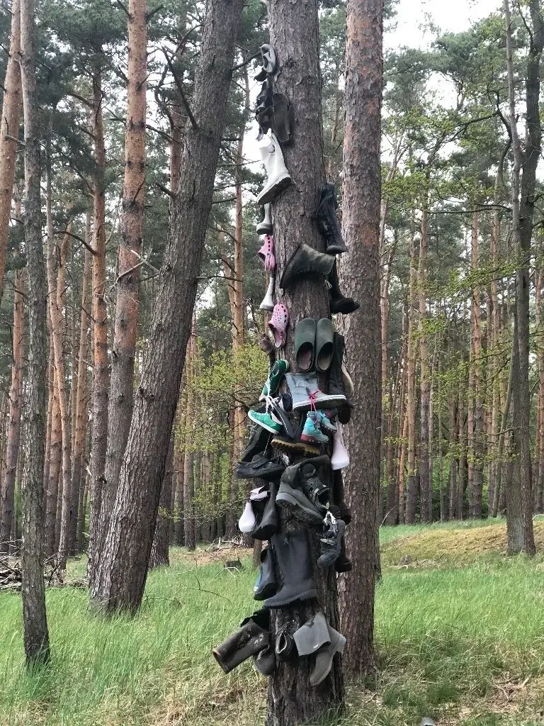 Der Stiefelbaum. Noch ist Luft nach oben!