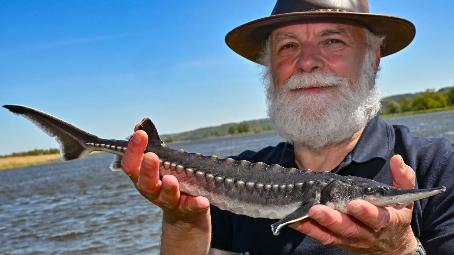 Fischsterben in der Oder: Ein Jahr nach der Katastrophe – doch eine ...