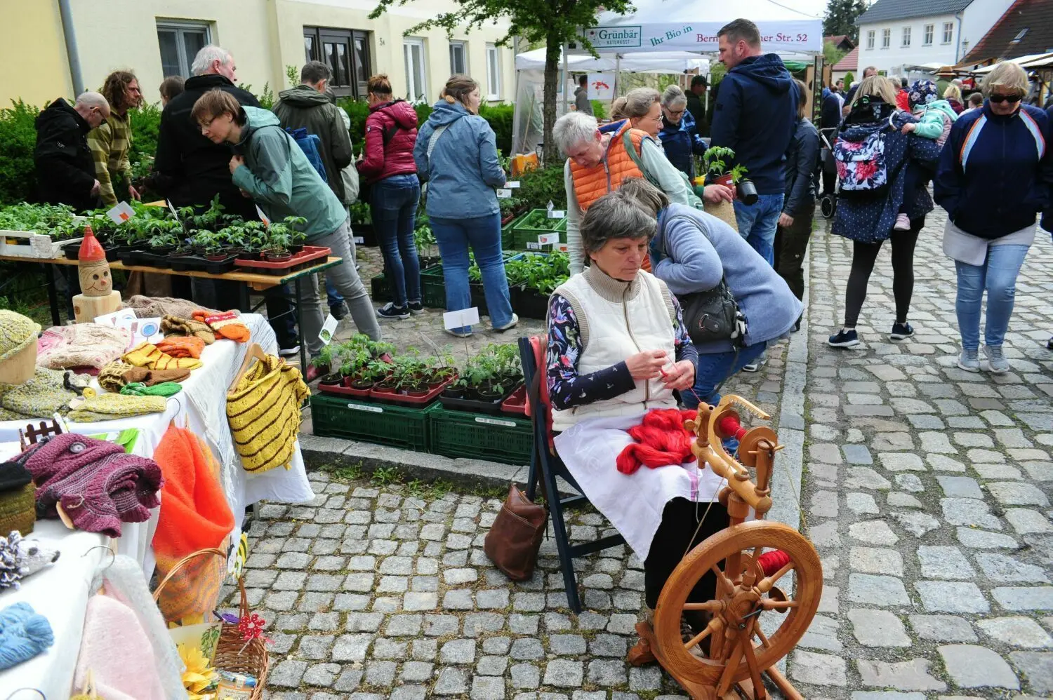 Regionaltag Biesenthal: Martina Wendland aus Melchow spinnt an ihrem Stand die Wolle ihrer Bentheimer Landschafe.