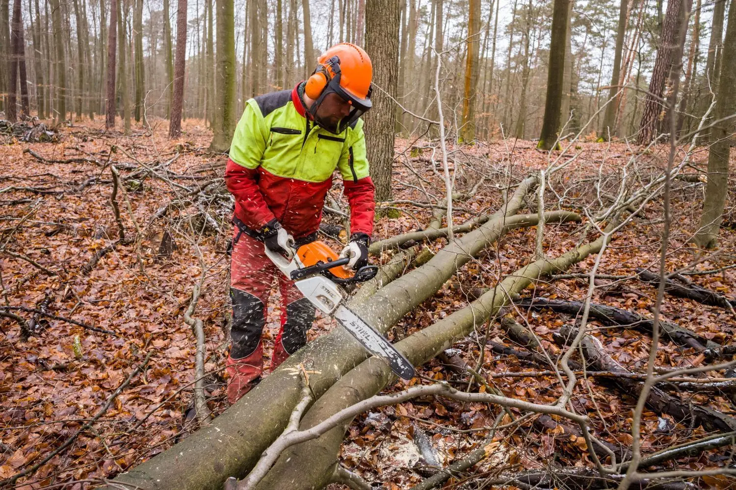 Philipp Höhne demonstriert am liegenden Holz verschiedene Schnitttechniken.