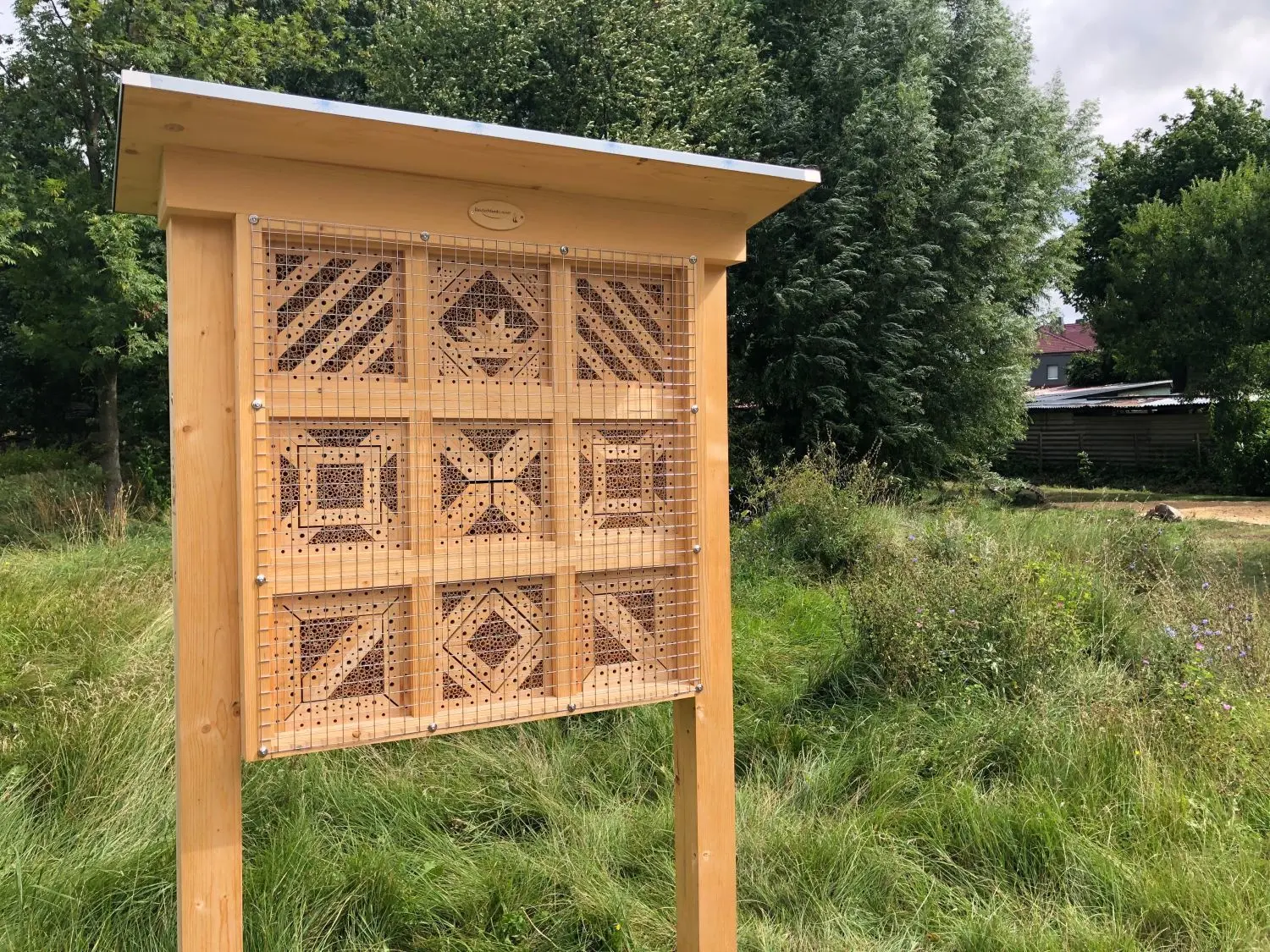 Inmitten der Mühlenfließaue in Bad Freienwalde stehen einige Wildwuchsinseln, die für mehr Artenvielfalt in der lokalen Insektenwelt sorgen sollen.