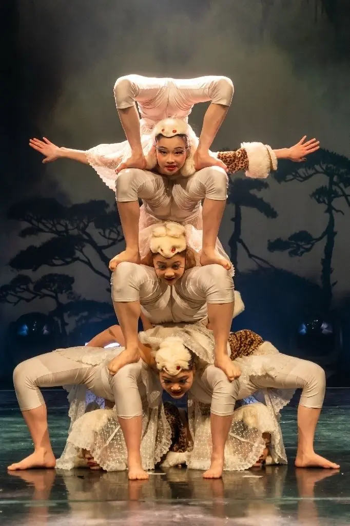 Kontorsion: Scheinbar völlig mühelos verdrehen die Mädchen ihre Körper in Positionen, die für uns unerreichbar scheinen.