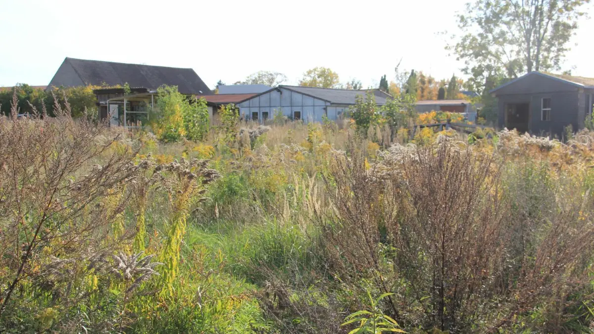 Auf dem Gelände der ehemaligen Gauertschen Gärten an der Eisenbahnstraße in Neuruppin soll ein Wohngebiet mit bis zu 85 Wohnungen entstehen.
Auf dem Gelände der ehemaligen Gauertschen Gärten an der Eisenbahnstraße in Neuruppin soll ein Wohngebiet mit bis zu 85 Wohnungen entstehen.
