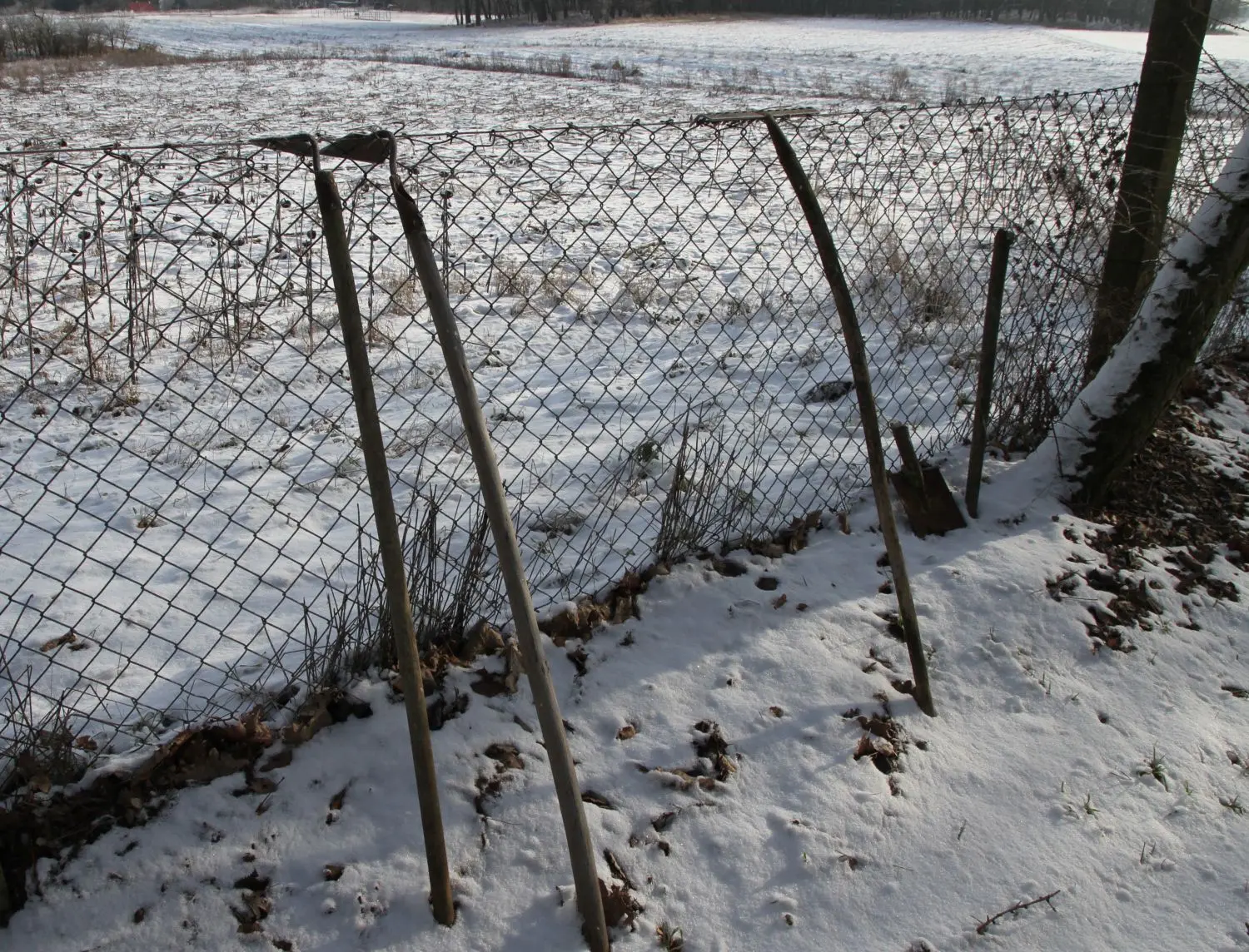 Wegen der Schneedecke gerade nicht gebraucht: Am Zaun ruhen die Gerätschaften zur Pflege des Georgenthaler Friedhofs.