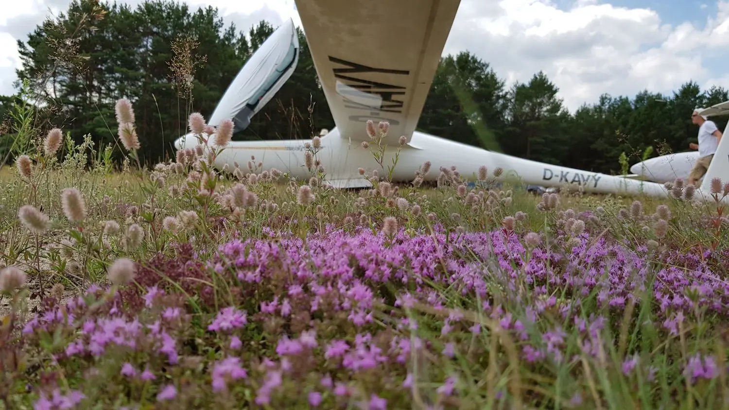 In Einklang mit der Natur: Der Flugplatz Pohlitz befindet sich inmitten von Lavendelfeldern.