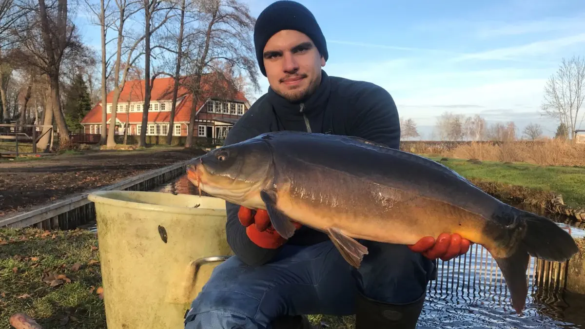Der Verkauf für Weihnachten und Silvester beginnt: Fischer Sander Fuhrmann von der Fischerei Köllnitz bei Groß Schauen zeigt einen Karpfen und der Groß Schauener Seenkette.
Der Verkauf für Weihnachten und Silvester beginnt: Fischer Sander Fuhrmann von der Fischerei Köllnitz bei Groß Schauen zeigt einen Karpfen und der Groß Schauener Seenkette.