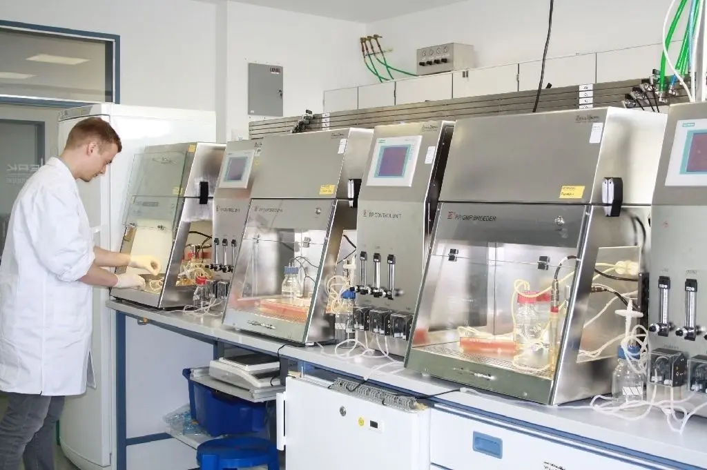 Jahrelange Erfahrung im Bereich der Zelltherapeutika: Zellwerk in Oberkrämer arbeitet beispielsweise mit der Berliner Charité zusammen. Im Labor in Eichstädt werden unter anderem T-Zellen und Natürliche Killerzellen hergestellt.