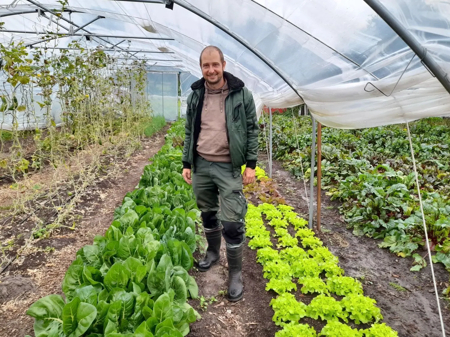 Klaus Becker von der Storchenschmiede in Linum präsentiert die Ernte in seinem Gewächshaus.