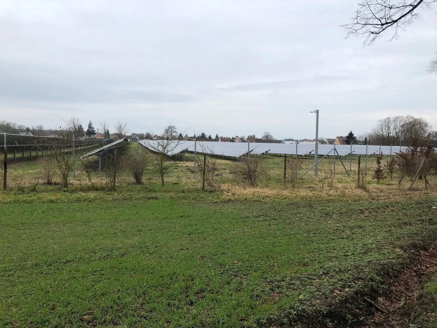 Die Solarpanel bedecken das gesamte Feld zwischen Amalienfelde und Kremmen. Doch unter den Panels ist Platz für Gras und Insekten und Kleintiere, die dort ungestört leben können.