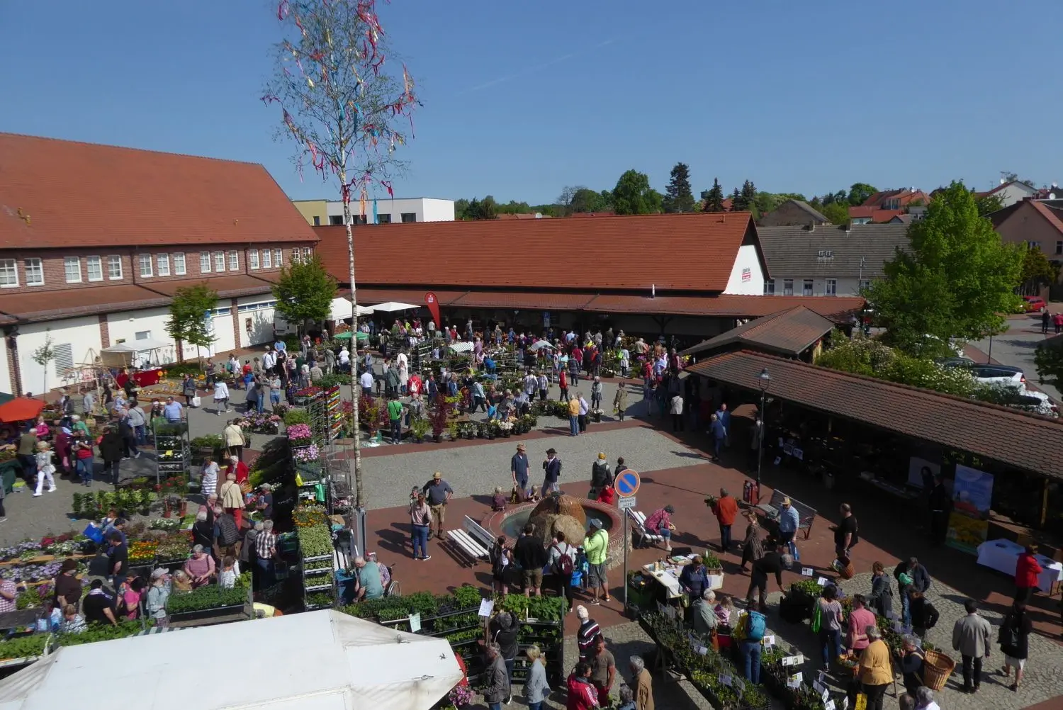 Sonnenschein, Muttertag und Blumenmarkt. Es war ein perfekter Sonntag.