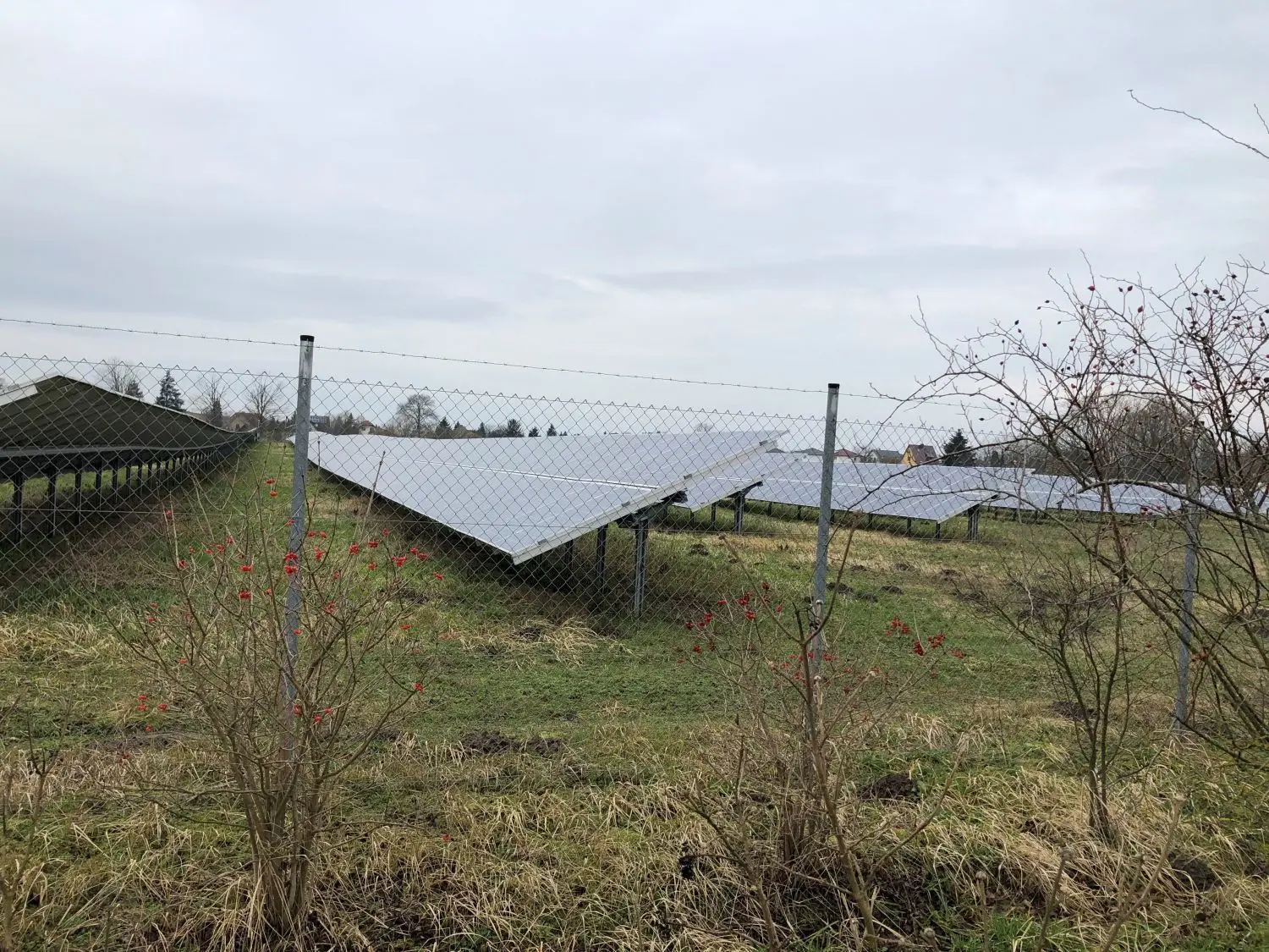 Blick auf den Solarpark zwischen Amalienfelde und Kremmen. Solche Solarpanels würden auch auf den geplanten Flächen aufgestellt werden.