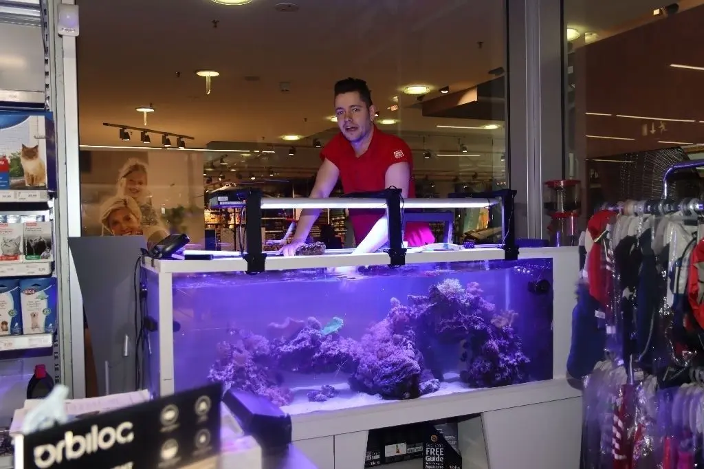 Weiterhin geöffnet: Marc Kunert reinigt ein Aquarium bei "Zoo & Co." in der Bahnhofs-Passage Bernau.