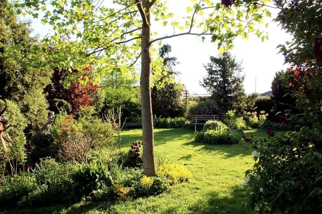 Ein Teil des Gartens: Ines Arndt hat viele Flächen zu bestimmten Themen bepflanzt. Dazwischen gibt es Platz zum Verweilen.