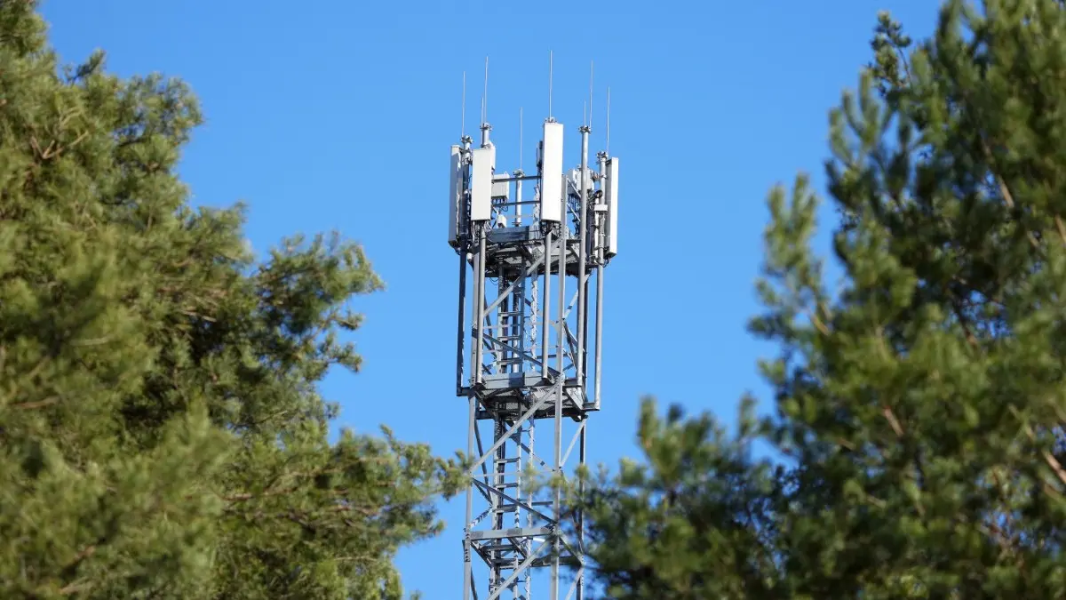 Mobilfunkmast in Wandlitz: Telekom und Vodafone wollen das 5G-Netz im Barnim und in der Uckermark ausbauen. Aktuell liegt die Versorgung im einstelligen Prozentbereich.
ARCHIV - 08.03.2022, Brandenburg, Wandlitz/Ot Basdorf: Ein Mast mit Mobilfunk-Antennen steht zwischen Kiefern am Rand des Ortes. (zu dpa «Weniger "graue Flecken": Mobilfunk-Firmen schließen Funklöcher») Foto: Soeren Stache/dpa-Zentralbild/dpa +++ dpa-Bildfunk +++